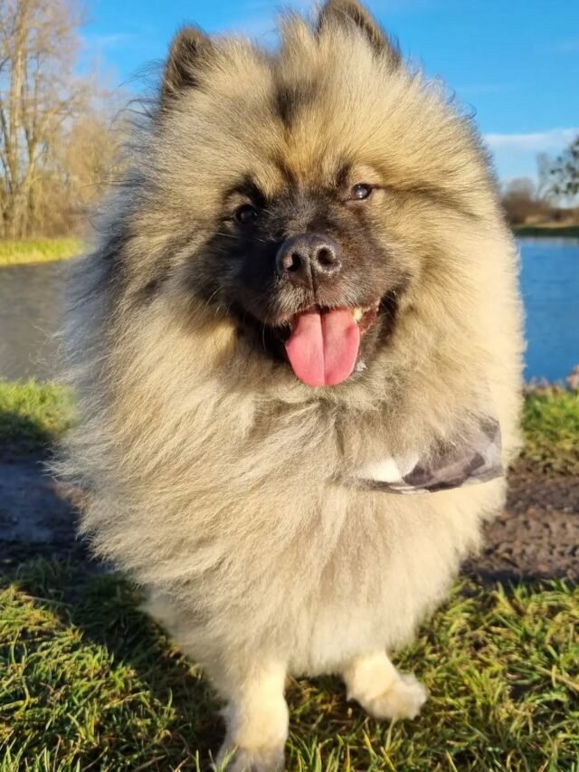 photo_2025-04-12_12-38-51